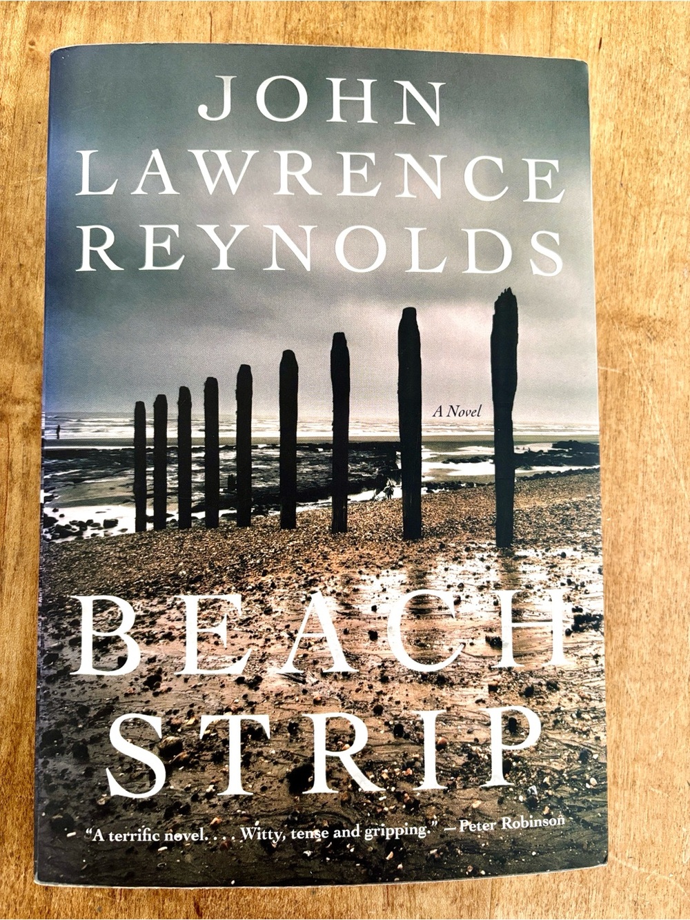 Beach Strip Novel Book Fiction John Lawrence Reynolds